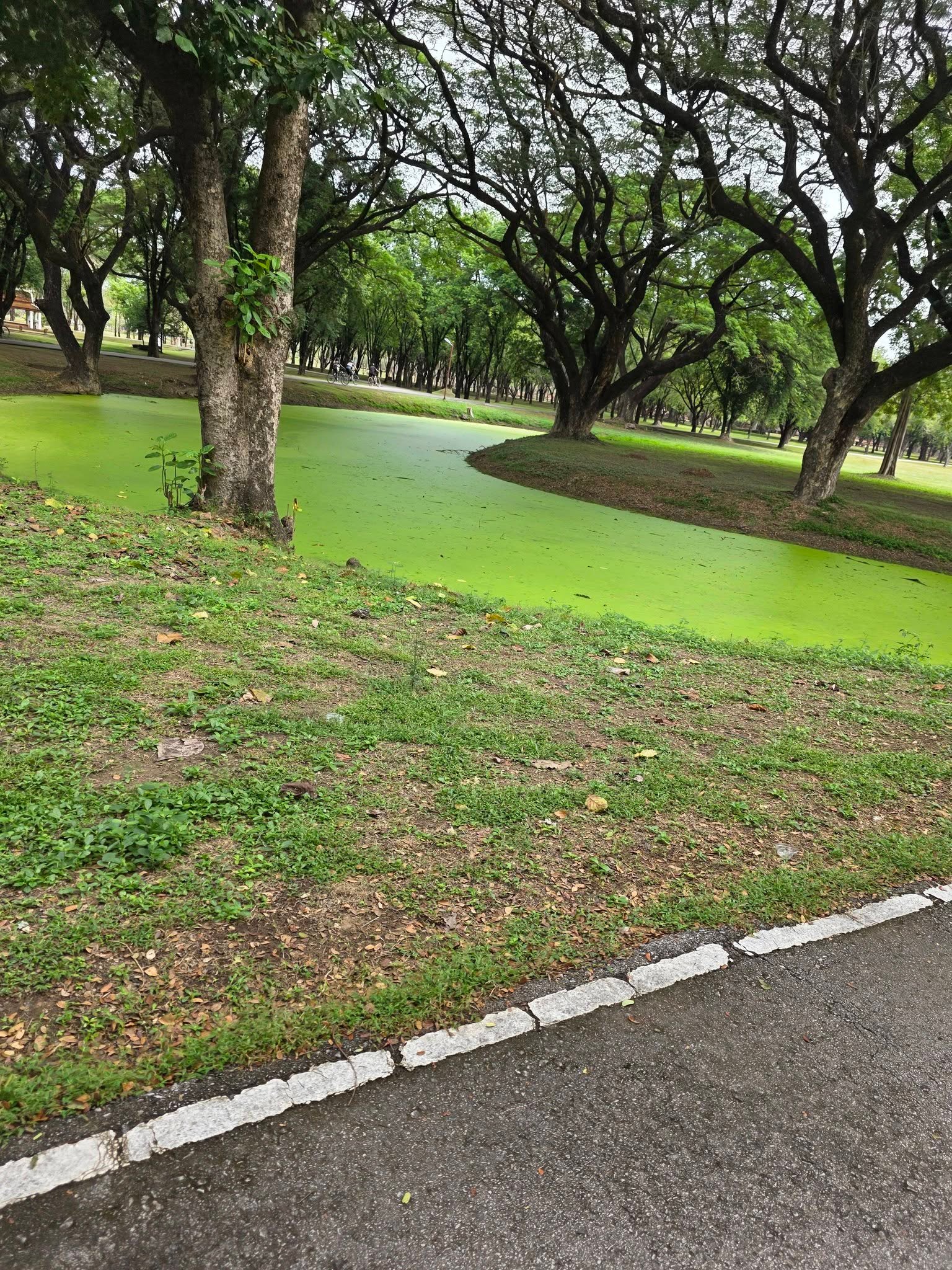 Southern Laos Cycling Adventures 10 Days